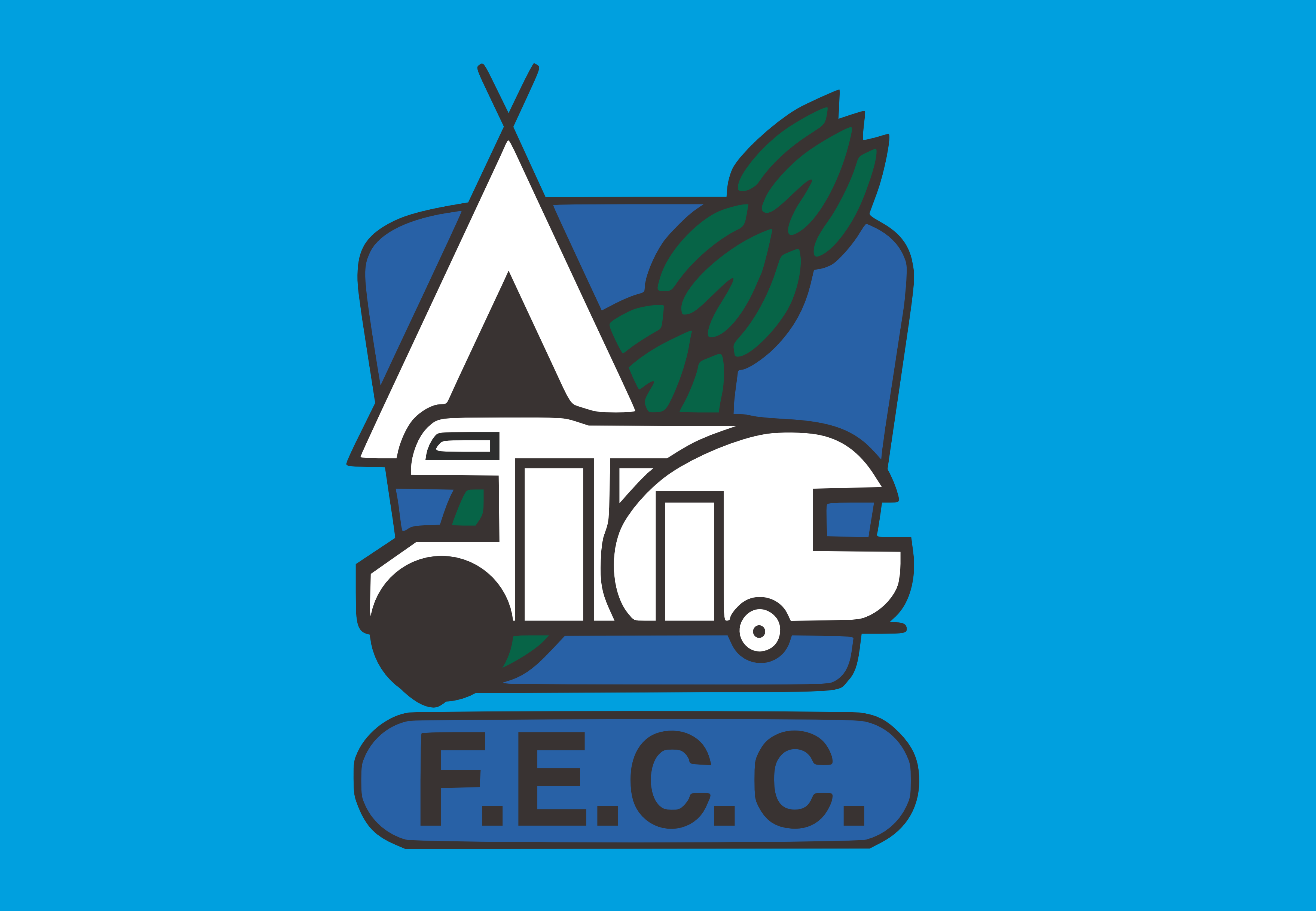 FED CAMPING compra online de banderas de europa